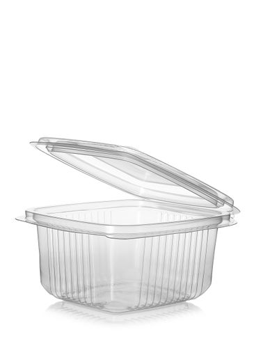 5.31 x 4.72 x 2.56 inch clarified PP plastic hinged rectangular disposable container