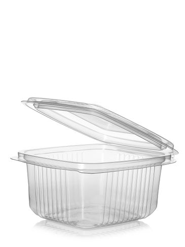 5.31 x 4.72 x 2.56 inch clarified PP plastic hinged rectangular disposable container