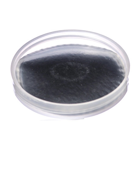 Natural-Colored PP Plastic 70-400 Smooth Skirt Lid – L817